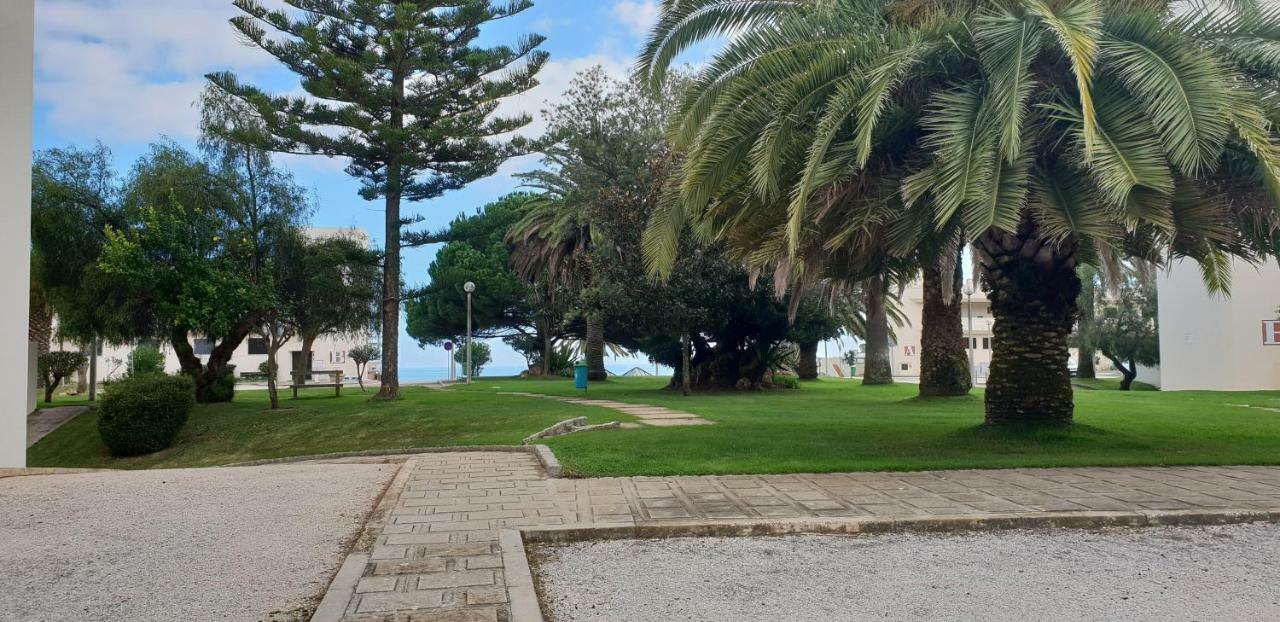 Paradise - Iberlagos